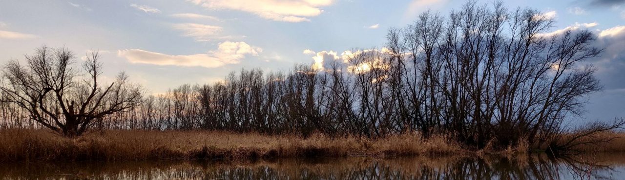 Header afbeelding